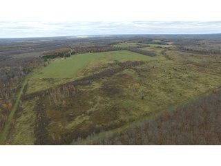 Property photo 15 - REAL ESTATE AUCTION - 1,428+/- ACRES OFFERED IN 10 TRACTS IN PRICE CO., WI